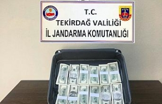 Bir bavul sahte dolar ele geçirildi