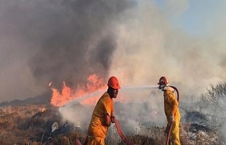 Bodrum 40 hektarlık alan kül oldu