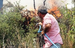 Bodrum’da korkutan yangın