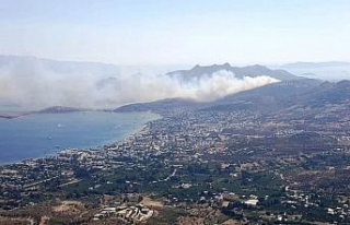Bodrum’daki yangın kontrol altına alındı