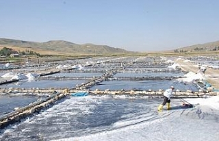 Burada günde 120 ton tuz üretiliyor