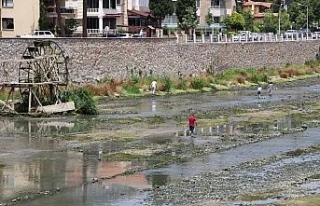 Burası Yeşilırmak: Tarihinde ilk kez susuz