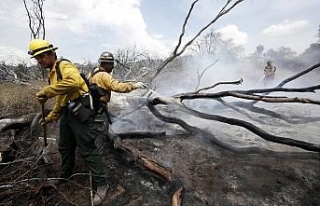 California yangınlarında ölü sayısı 6’ya yükseldi