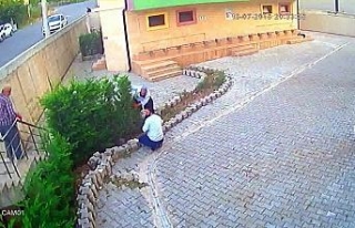 Cemaat namazdayken avludaki ağaçları kesip çaldılar