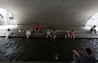 Güney Kore’de aşırı sıcaklar : 14 ölü