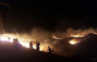 Gürcistan-Ermenistan sınırındaki yangın söndürülemiyor