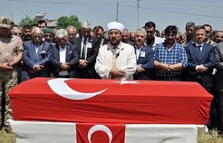 Hain saldırıda şehit olan Nurettin Karadeniz toprağa...