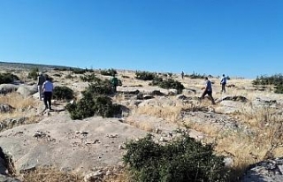 Hayvanları otlatmaya çıkaran çocuktan haber alınamıyor