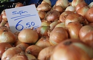 Haziran’ın zam şampiyonu soğan oldu