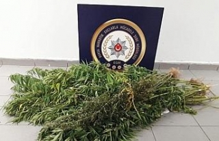 İpteki çamaşırların ceplerine uyuşturucu sakladılar
