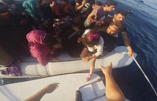 İzmir’de 53 kaçak göçmen yakalandı