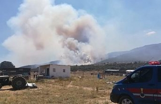 İzmir’de orman yangını