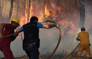 İzmir’deki orman yangınına ilişkin 1 kişi gözaltında