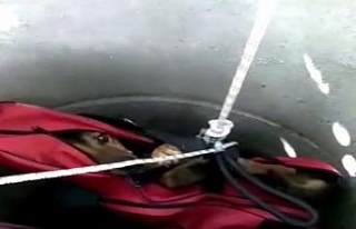 Kanalizasyon kanalına düşen köpek kurtarıldı