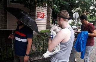 Kedisini yangından çuvala sararak kurtardı
