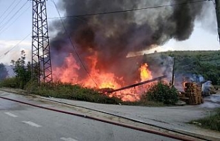 Kereste fabrikası alev alev yandı