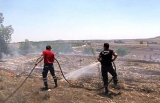 KKTC’deki yangında 400 dönüm arazi kül oldu