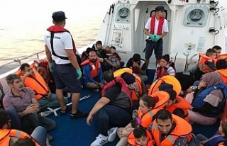 Kuşadası ve Didim’de 21’i çocuk 55 kaçak göçmen...