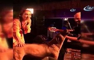 Leman Sam şarkı söylerken sahneye köpek fırladı