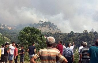 Orman yangını kontrol altına alınmaya çalışılıyor