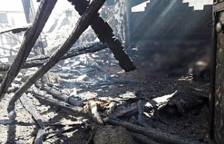 Siirt’te yangın: 110 koyun telef oldu