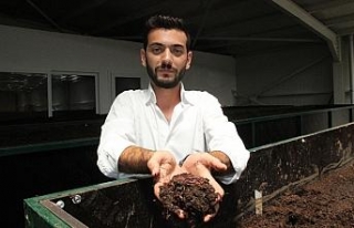 Solucan sevgisi iş sahibi yaptı