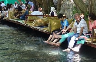 Terör bitti, bu görüntüler ortaya çıktı