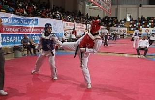 Türkiye Taekwondo Şampiyonası sona erdi