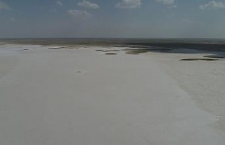 Tuz Gölü küçülüyor, flamingolar gelmiyor