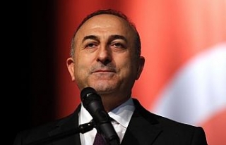 Yeni sistemin ilk Dışişleri Bakanı Mevlüt Çavuşoğlu