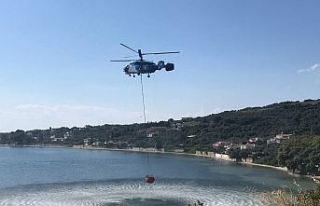 Yol kenarında başlayan yangın ormanlık alana sıçradı