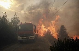 Yunanistan’da ölü sayısı artıyor