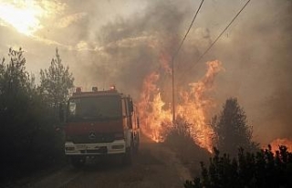 Yunanistan’daki yangın can aldı