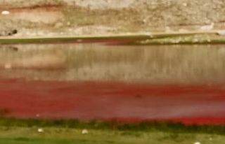 Alanya’da kırmızıya dönen göl şaşırttı