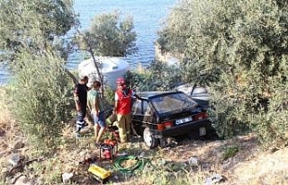 Alkollü sürücü zeytin ağacının üzerine uçtu