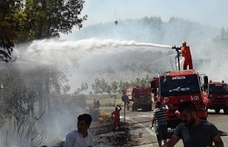 Antalya’daki orman yangını kontrol altına alındı