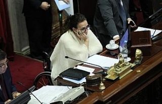 Arjantin Senatosundan kürtaj yasasına ret