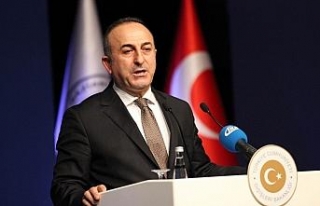 Bakan Çavuşoğlu, Litvanya’yı ziyaret edecek