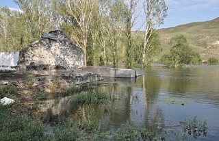 Baraj Gölü yaban hayatına ev sahipliği yapıyor