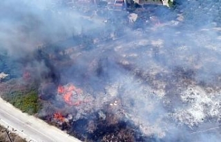 Bursa’daki orman yangını devam ediyor