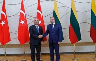 Çavuşoğlu, Litvanya Başbakanı Skvernelis ile...