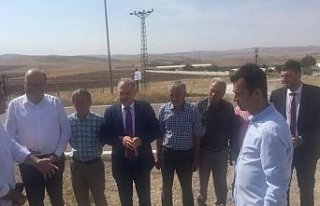 CHP’li Gök şarbon vakasının yaşandığı bölgede
