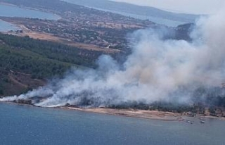 Cunda Adasında orman yangını