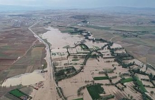 Evler su altında kaldı, hayvanlar telef oldu