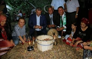 Fındığın başkentinde Fındık Festivali