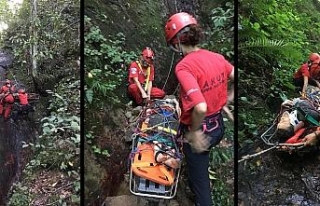 Fındık toplarken düştüğü yerde mahsur kaldı