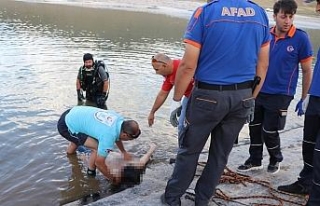 Gençlerin safari macerası faciayla son buldu