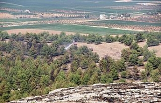 Göbeklitepe yakınındaki yangın kontrol altında