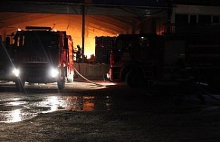 Hatay’da plastik kasa fabrikasında yangın