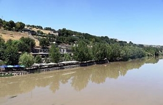 Hevsel Bahçeleri ve Dicle Nehri için kirlilik uyarısı